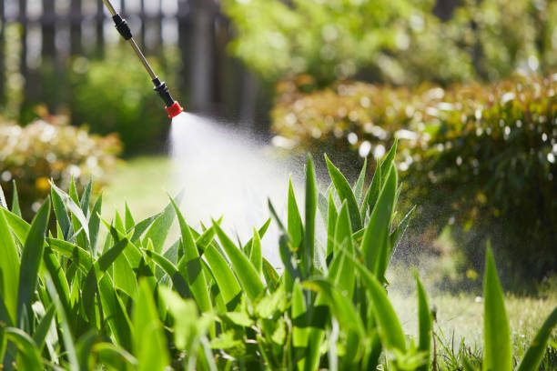 24/7 Emergency Termite Control experts in Brentwood, TN