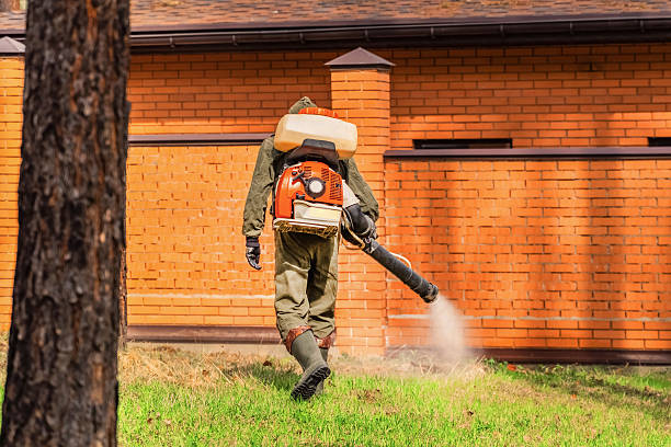 Trusted Termite Control service in Brentwood, TN - Nex Pest Control